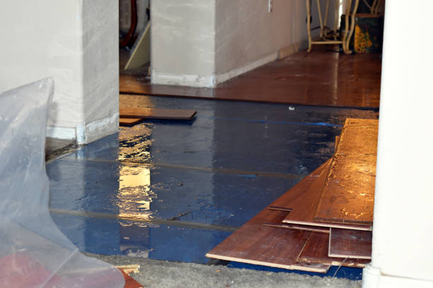 Professional Basement Flood Cleanup technician working in Manchester, MO